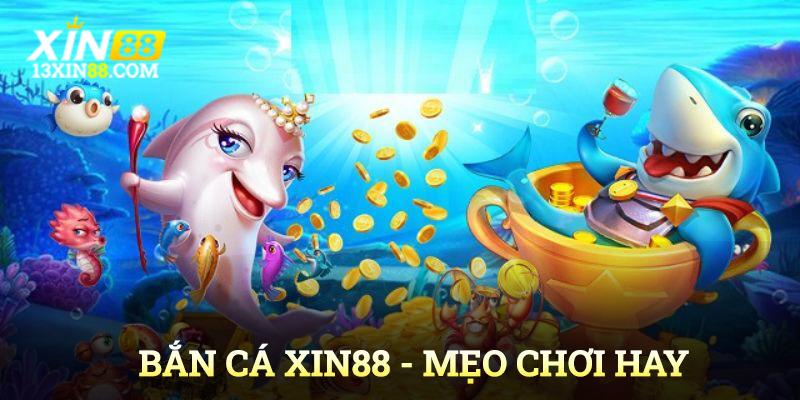 Mẹo bắn cá Xin88 chuẩn không cần chỉnh