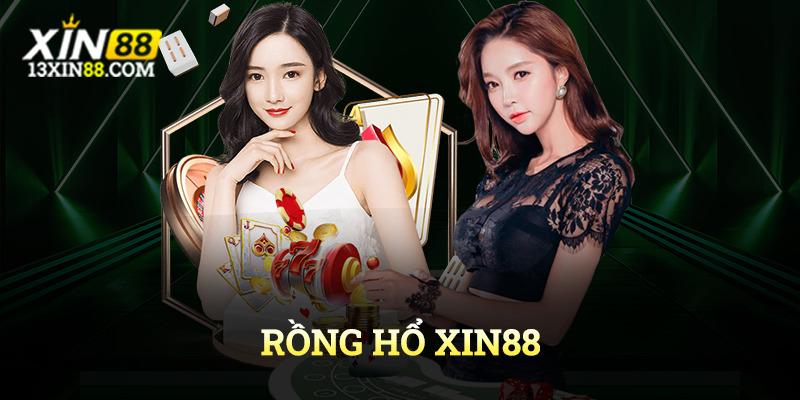 Rồng Hổ Xin88